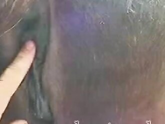 animalsex