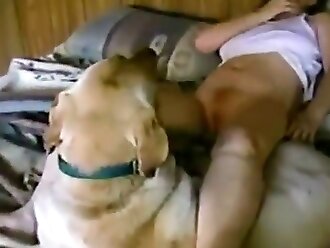 animal sex woman