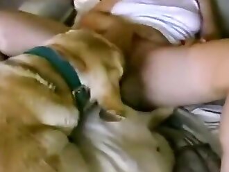 animal sex woman