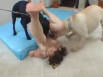 japanese zoophilia