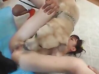 japanese zoophilia
