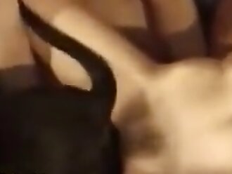 hardcore animal sex