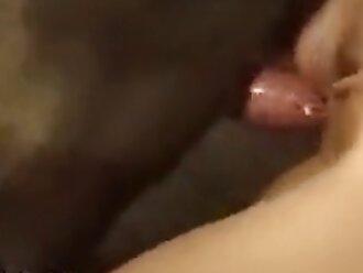 hardcore animal sex