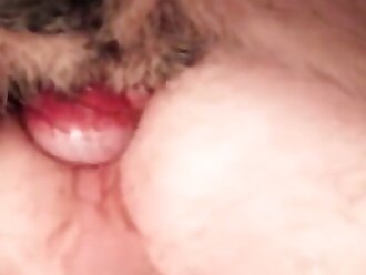 animalsex