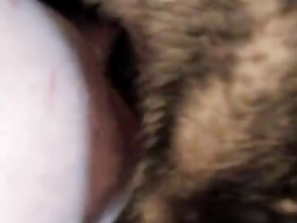 animalsex