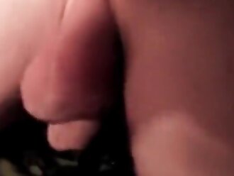animalsex