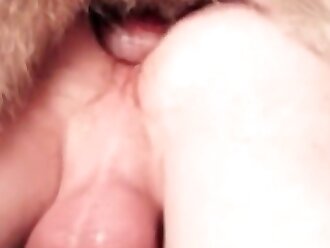animalsex