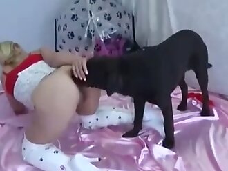 sex animals