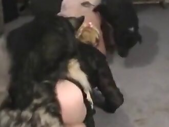 passionate zoophilia