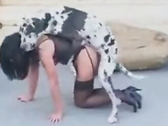 sex animals