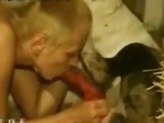 amateur beastiality 