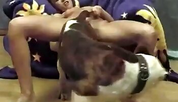 zoofilní porno,žena sex se zvířetem