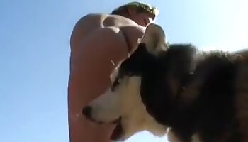 eläimellisyyden seksivideot,eläinporno video