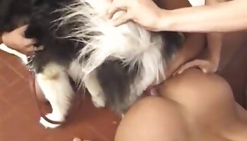 doggy porn,woman sex with animal