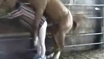 bestiality sex videos,fuck with animal