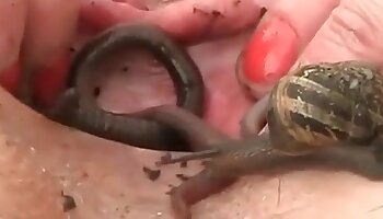 woman sex with animal,fuck with animal