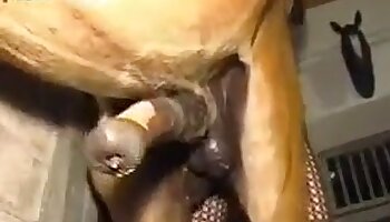 brezplačna bestialnostna pornografija,bestialnostni posnetki