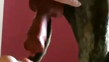 živalski porno video,seks z živalmi