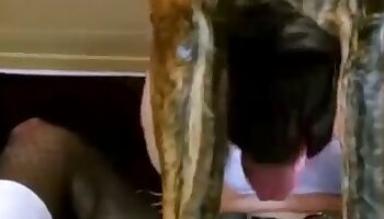 dieren porno video,seks met dieren