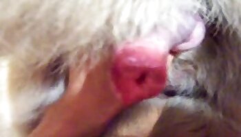sex with dogs,wild fucking