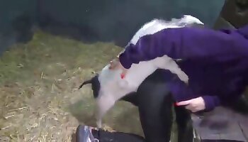 free zoosex video,bestiality sex videos