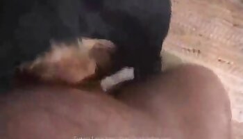 vídeo de zoosex gratis,videos de sexo bestial
