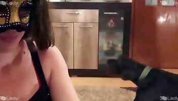 dyrepornovideo,gratis pornovideoer fra bestialitet