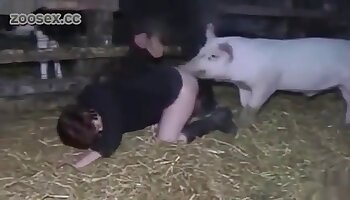penetrasyon pornosu,horoz