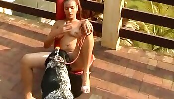 gratis zoosex porno videoer,bestialitet sex videoer