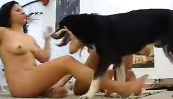 free zoosex video,sex with animals