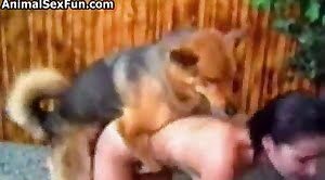 dog-porn,animal-fuck