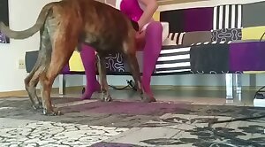 animal-fuck,bestiality-videos