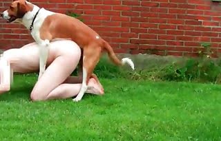 animal fucks,dog sex