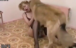 dog sex,zoo sex