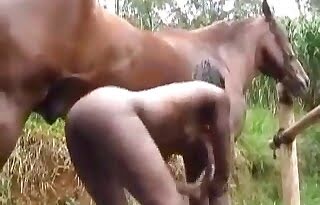 horse sex,cum