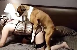 homemade zoophilia sex with dog