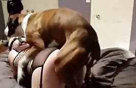 homemade zoophilia,sex with dog
