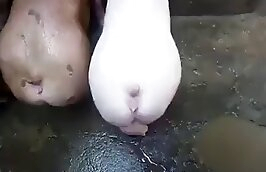 pig hardcore bestiality porn