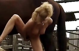 hardcore bestiality porn lustful