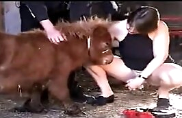 zoo videos sex with animals