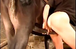 sexy milfs enjoying bestiality