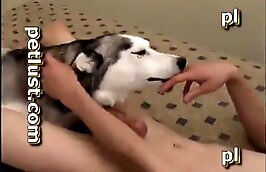 intense,sex with dog