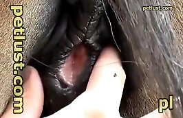 intense hardcore bestiality porn