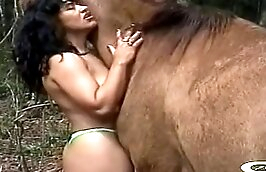 pornographic,film