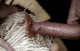 zoo porn,dude fucks with animal