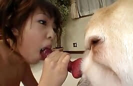 blowjobs,free zoophilia porn