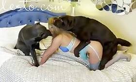 Animal fuck