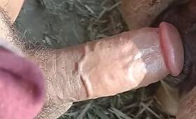 XXX Zoo Tube