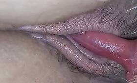 Zoo 2 Tube