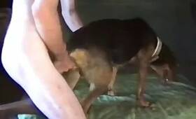 Zoo Sex Name